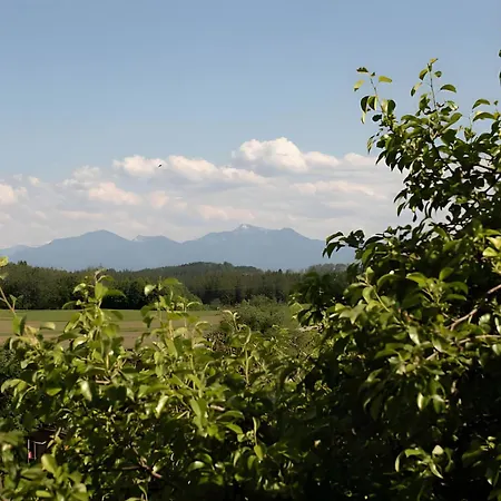 Neubau - Freundliche Bergblick Hoslwang