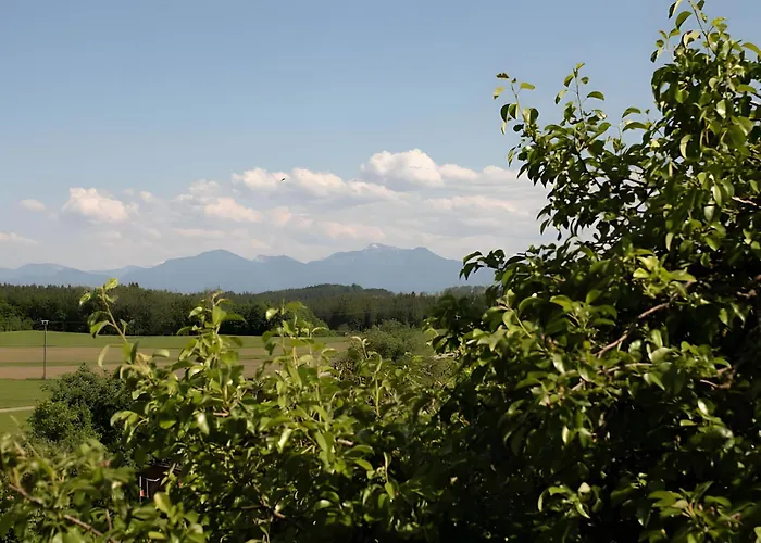 Neubau - Freundliche Bergblick Höslwang